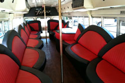 36 Passenger  Comfortable Taboo Party Bus